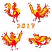 Fire Rooster 2017
